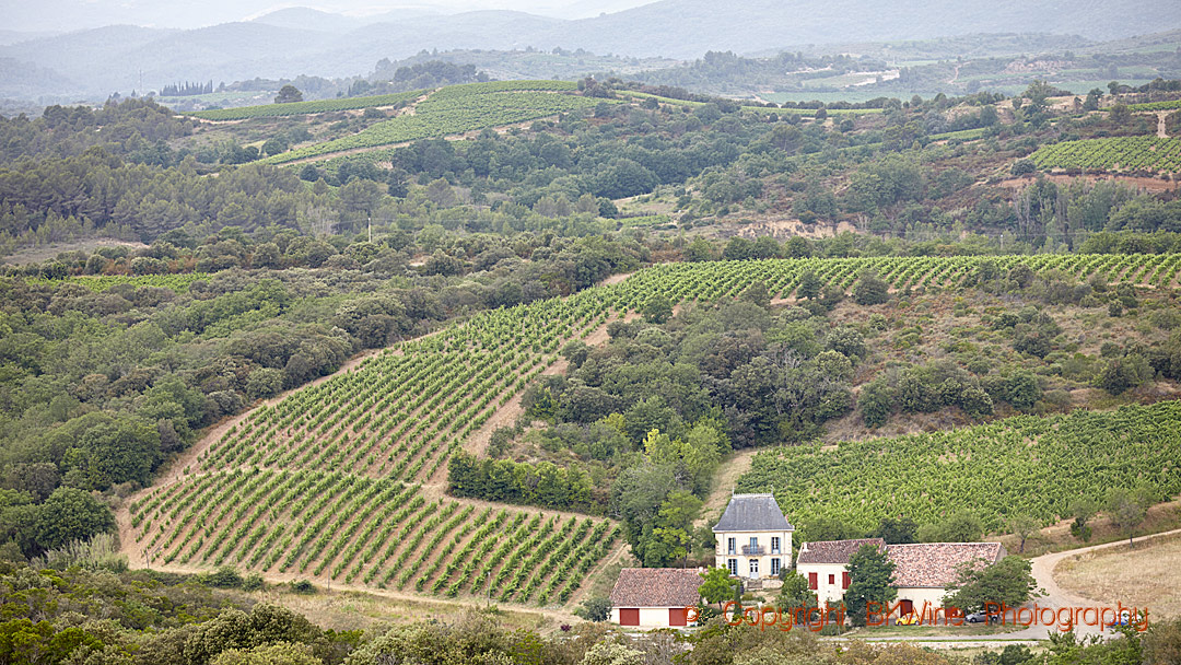 Winery and vineyards in Languedoc