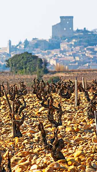 Vineyards in Chateauneuf-du-Pape and the village