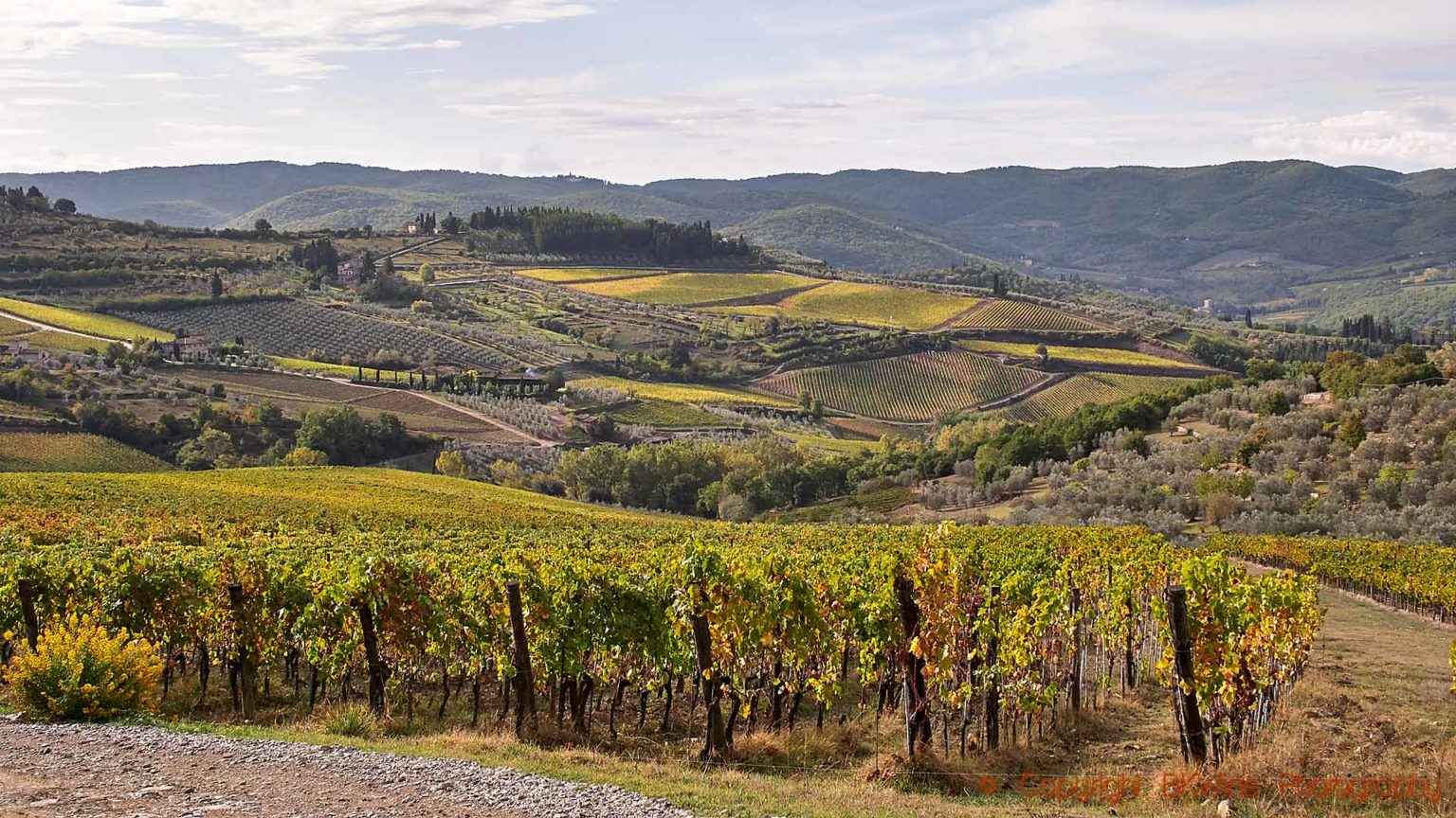 Tuscany & Chianti Wine Tour | The Wine Travel Specialist: BKWine
