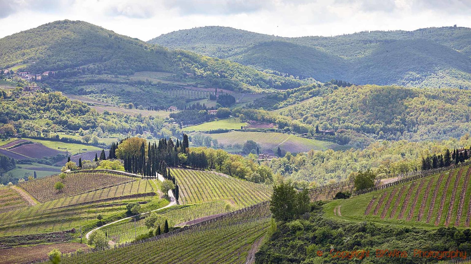 Tuscany & Chianti Wine Tour | The Wine Travel Specialist: BKWine