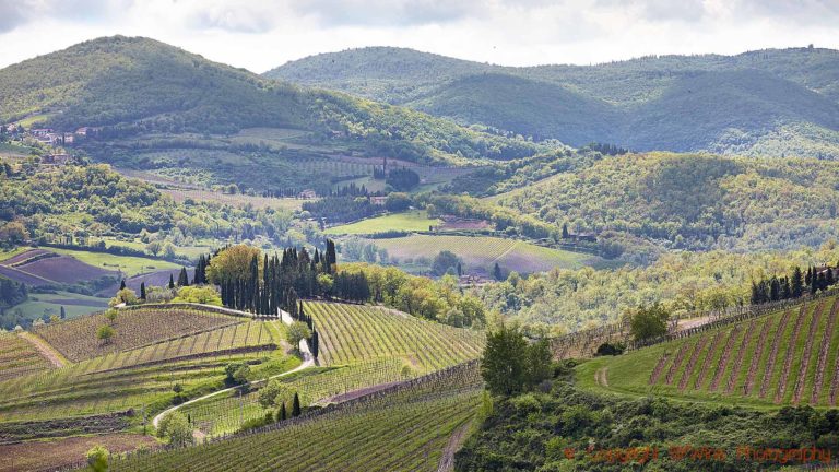 Tuscany & Chianti Wine Tour 