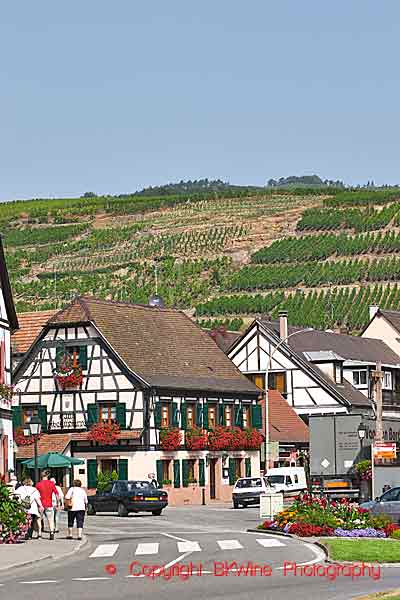 Riquewihr, an Alsace village with half-timbered houses and vineyards on a hill