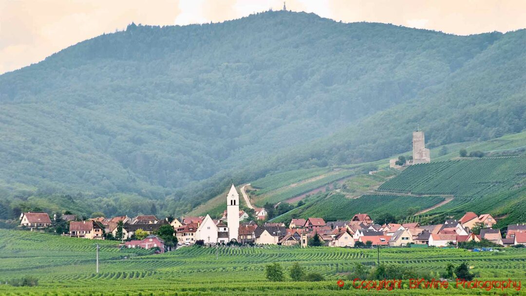 Vineyards and a hill around the Katzenthal village with a church, Alsace