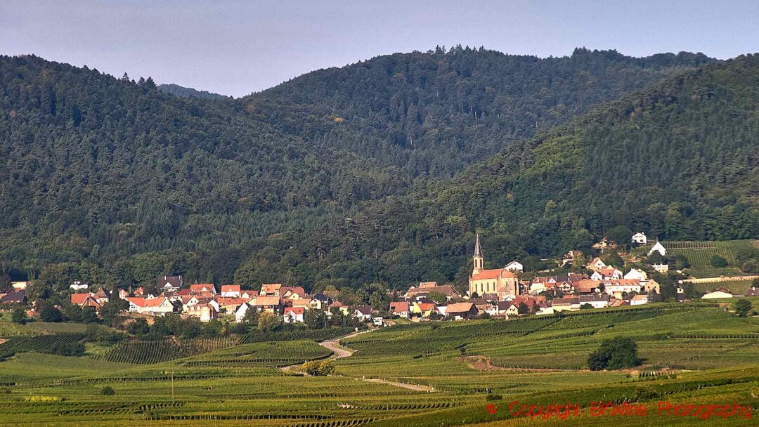 Vineyard and hills around the Hussern les Chateaux village in Eguisheim, Alsace