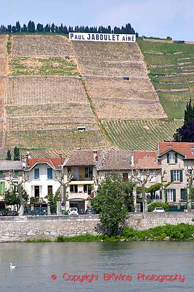 Terraced vineyards on very steep slopes in the northern Rhone Valley, Hermitage Hill and Tain village