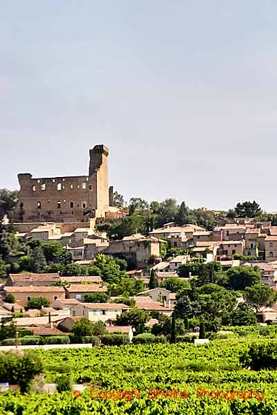 Vineyards around the Chateauneuf-du-Pape village and ruins of the castle, southern Rhone Valley