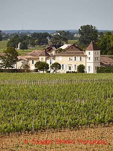 A chateau surrounded by vineyards in Saint Emilion, Bordeaux